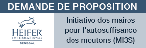 Publicité sur Senjob