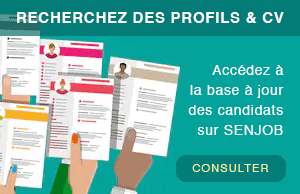 Les bases de Profils et CV